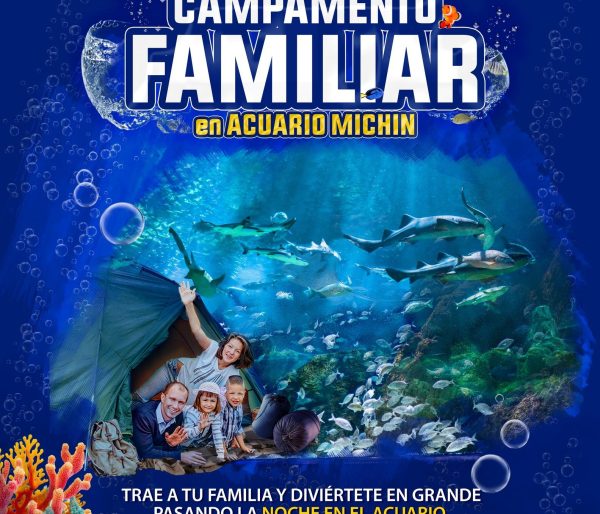 Pase Marino